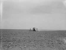 Harrowing a 2,000 acre wheat field, Antelope Valley, Los Angeles County, California, 1937. Creator: Dorothea Lange