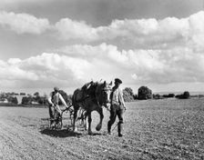 Harrowing, Somerset, c1955. Creator: Arthur Charles Kirby Ware