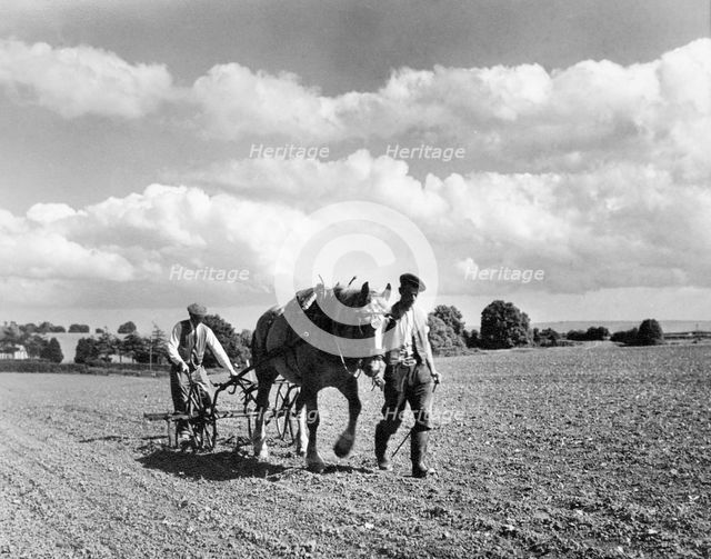 Harrowing, Somerset, c1955. Creator: Arthur Charles Kirby Ware.
