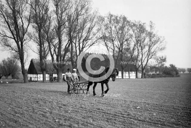 Harrowing, the Isle of Ven, Sweden, 1925. Artist: Unknown