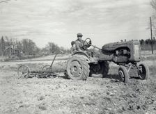 Harrowing with an Allis-Chalmers tractor, Sweden, 1950. Creator: Torkel Lindeberg