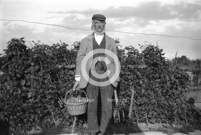 Harry Richards, Curry Rivel, Somerset, 1904-1909. Artist: Cecil Sharp