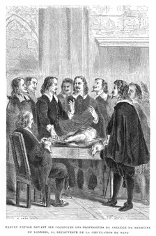 Harvey demonstrating circulation of the blood to the College of Physicians, c1628 (1870). Creator: Unknown