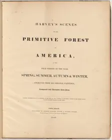 Harvey's Scenes of the Primitive Forest, 1841. Creators: William James Bennett, George Harvey, George Harvey
