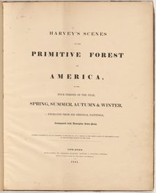 Harvey's Scenes of the Primitive Forest, 1841. Creators: William James Bennett, George Harvey, George Harvey