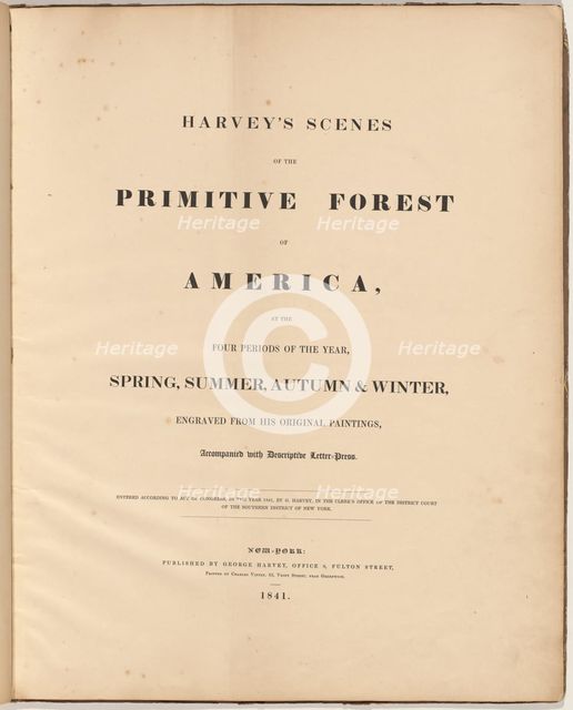 Harvey's Scenes of the Primitive Forest, 1841. Creators: William James Bennett, George Harvey, George Harvey.