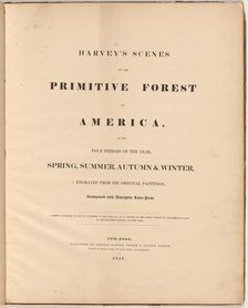 Harvey's Scenes of the Primitive Forest, 1841. Creators: William James Bennett, George Harvey, George Harvey