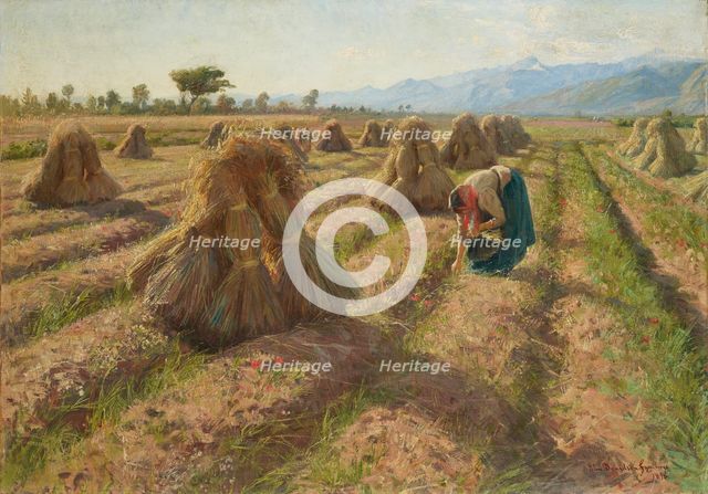 Harvest, 1898. Creator: Danielson-Gambogi, Elin (1861-1919).