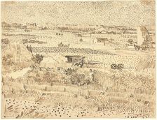 Harvest--The Plain of La Crau, 1888. Creator: Vincent van Gogh