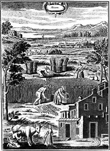 Harvest time, 1762