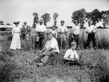 Harvest time, Cadsden, near Princes Risborough, Buckinghamshire, 1903. Artist: Alfred Newton & Sons
