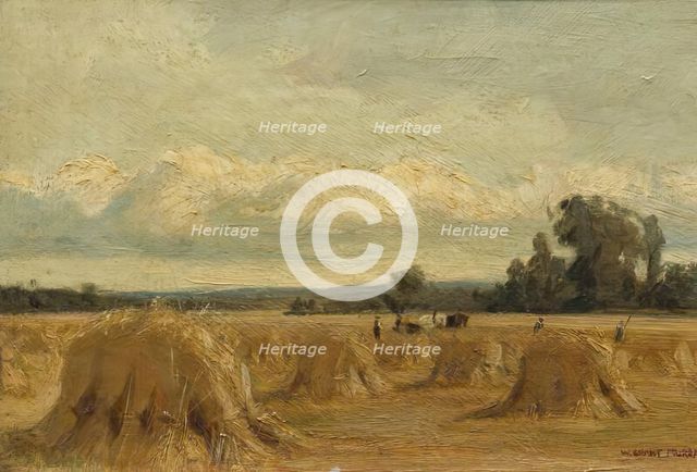 Harvest Field, Rosemount, Blairgowrie, 1907. Creator: William Grant Murray.