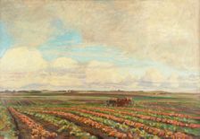 Harvest of Turnips, 1925-1927. Creator: Fritz Syberg