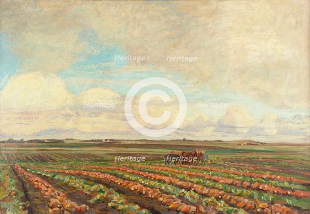 Harvest of Turnips, 1925-1927. Creator: Fritz Syberg.