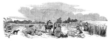 Harvest Operations - Reaping, 1858. Creator: Unknown