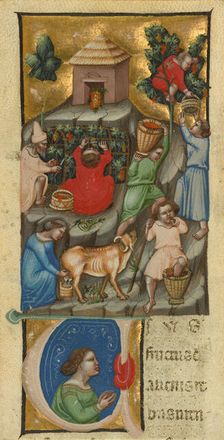 Harvest Scene; Initial U: A Figure, before 1340. Creator: Andrea da Bologna