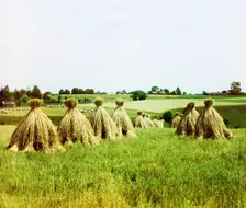 Harvested field, 1912. Creator: Sergey Mikhaylovich Prokudin-Gorsky