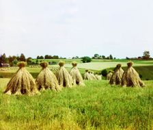 Harvested field, 1912. Creator: Sergey Mikhaylovich Prokudin-Gorsky