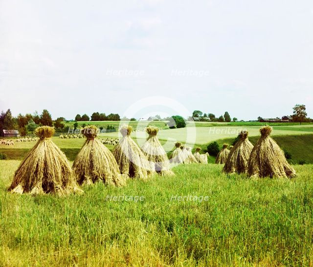 Harvested field, 1912. Creator: Sergey Mikhaylovich Prokudin-Gorsky.