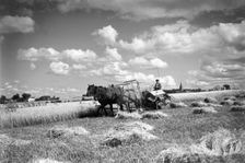 Harvesting a field with a reaper, Ven, Sweden, 1925. Creator: Unknown