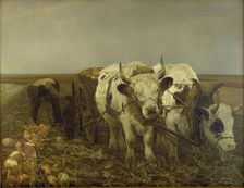Harvesting beets, 1886. Creator: Niels Pedersen Mols