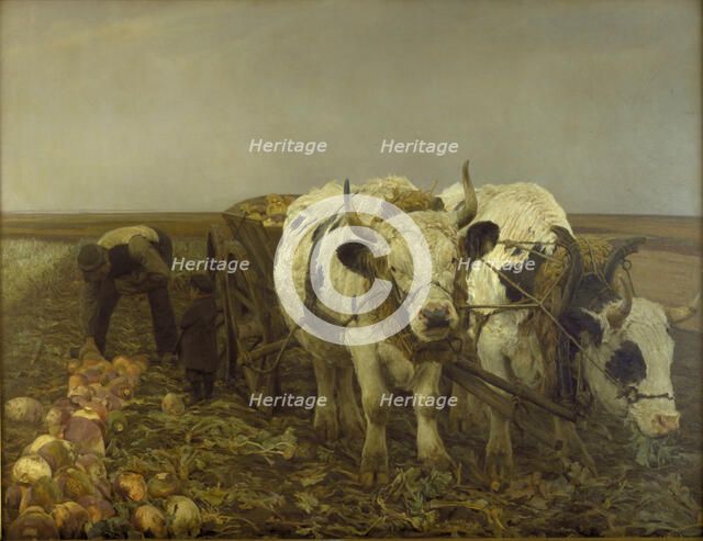 Harvesting beets, 1886. Creator: Niels Pedersen Mols.