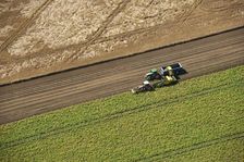 Harvesting, Glinton, Peterborough, Cambridgeshire, c2010s(?). Artist: Damian Grady