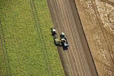 Harvesting, Glinton, Peterborough, Cambridgeshire, c2010s(?). Artist: Damian Grady