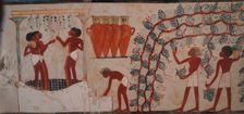 Harvesting grapes and Winemaking. The Tomb of Nakht, ca 1380 BC