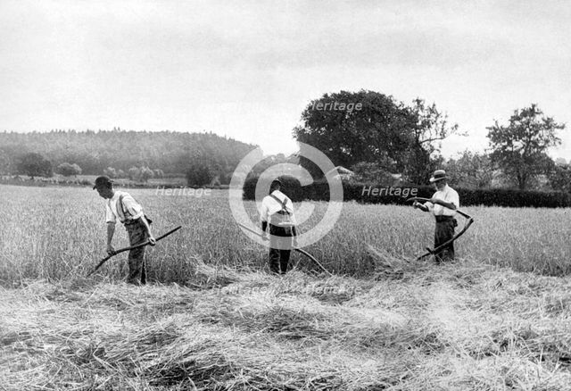 Harvesting hay, 1926. Artist: Unknown