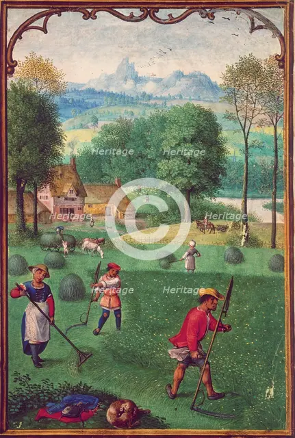 Harvesting, late 15th century.  Creators: Unknown, Simon Bening.