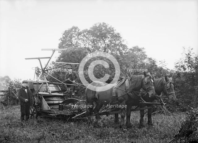 Harvesting machine, Hellidon, Northamptonshire, c1896-c1920. Artist: Alfred Newton & Sons