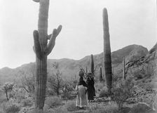 Hasen harvest B-Qahatika. Three women walking through desert, two with kiho carriers and..., c1907. Creator: Edward Sheriff Curtis