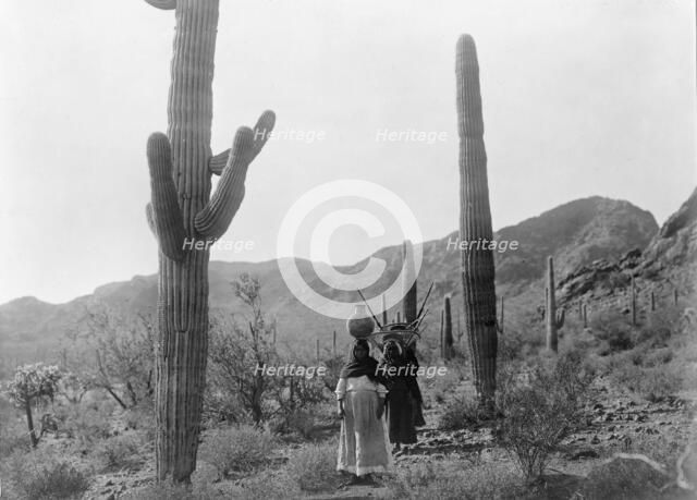 Hasen harvest B-Qahatika. Three women walking through desert, two with kiho carriers and..., c1907. Creator: Edward Sheriff Curtis.