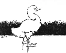 He Came to a Wide Moor c1930. Artist: W Heath Robinson