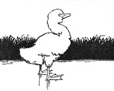 He Came to a Wide Moor c1930. Artist: W Heath Robinson