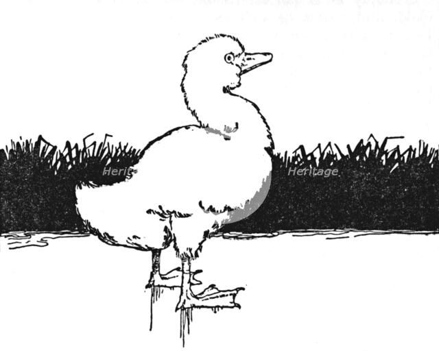 'He Came to a Wide Moor', c1930. Artist: W Heath Robinson.