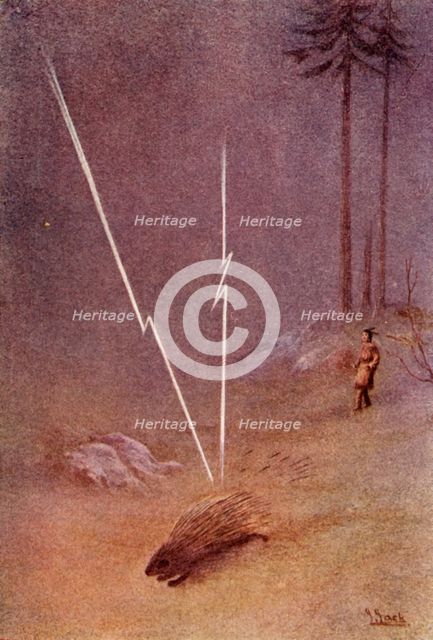 "He suddenly assumed the shape of a gigantic porcupine", 1914. Creator: Unknown.