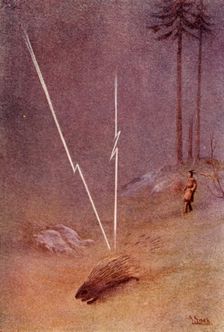 "He suddenly assumed the shape of a gigantic porcupine", 1914. Creator: Unknown