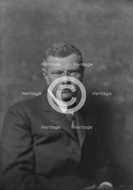 Heynen, Carl, Mr., portrait photograph, 1916. Creator: Arnold Genthe.