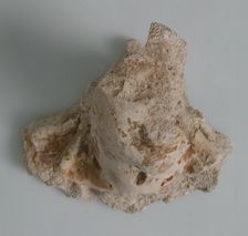 Head and Neck Fragment, Coptic, 4th-7th century. Creator: Unknown