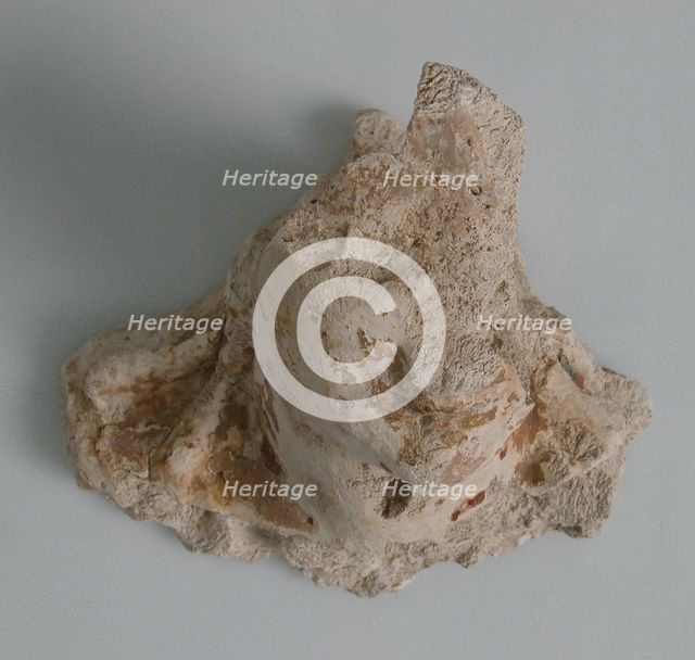 Head and Neck Fragment, Coptic, 4th-7th century. Creator: Unknown.