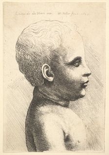 Head and shoulder of a child, in profile to right, 1645. Creator: Wenceslaus Hollar