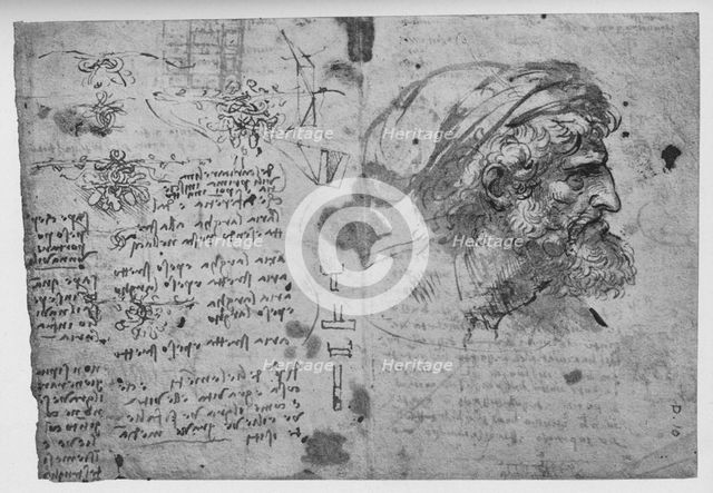 'Head and Shoulders of a Bearded Man', c1480 (1945). Artist: Leonardo da Vinci.