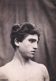 Head and shoulders of a young man, Taormina, Sicily, c1890s. Creator: Count Wilhelm von Gloeden