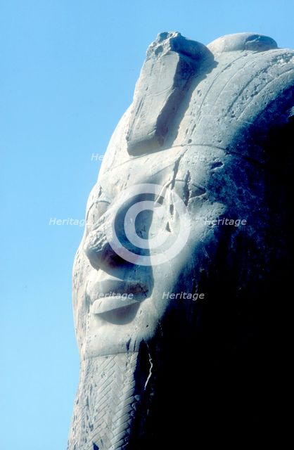 Head detail of Alabaster Sphinx, Memphis, Egypt, 18th or 19th Dynasty, c14th-13th century BC. Artist: Unknown