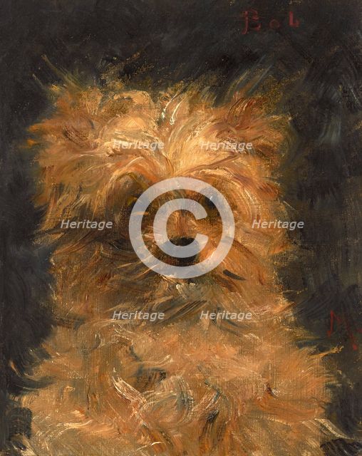 Head of the dog "Bob", c1876. Creator: Manet, Édouard (1832-1883).