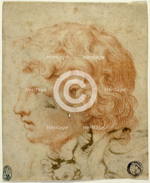 Head of Youth in Profile to Left (recto), 17th century. Creator: Unknown.