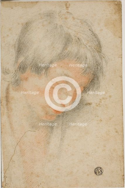 Head of Youth Looking Down, n.d. Creator: Matteo Rosselli.