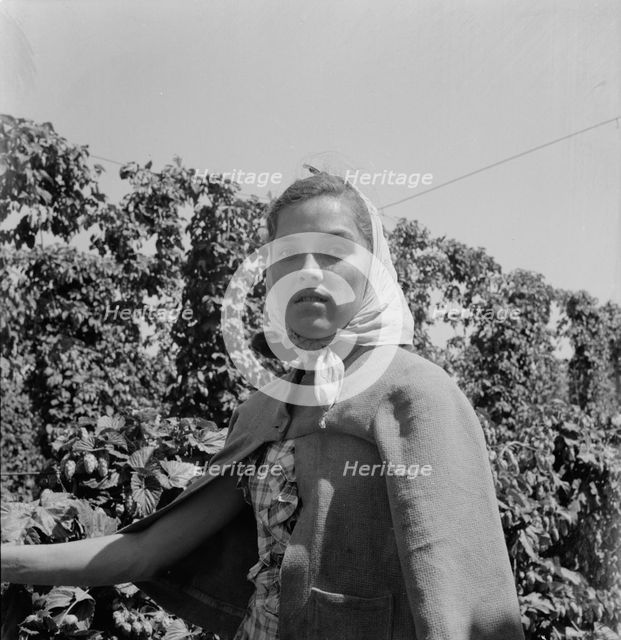 Head of young woman, migratory hop picker, near Independence, Polk County, Oregon, 1939. Creator: Dorothea Lange.